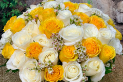 White & Yellow Roses