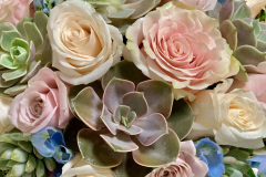 Succulent & Rose Bride Bouquet