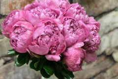 Pink Peony Bride Bouquet
