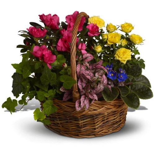 Tranquility Basket - Eufloria Designs