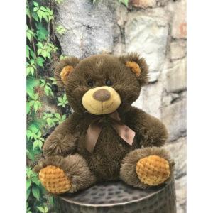 10 Inch Country Brown Plush Bear