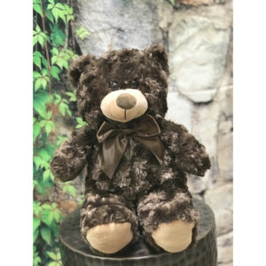 15 Inch Loving Brown Plush Bear