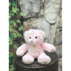8 Inch Baby Girl Plush Bear