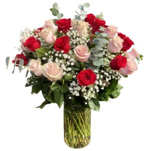 Deluxe 2 Dozen Red & Pink Roses