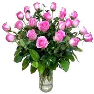 Standard 2 Dozen Pink Roses