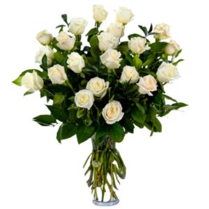 Standard 2 Dozen White Roses