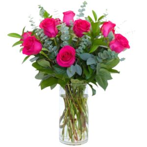 Standard Dozen Hot Pink Roses