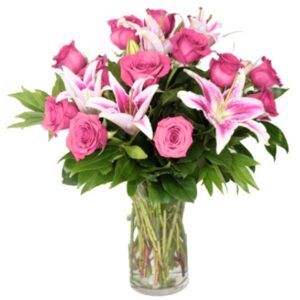 Premium Dozen Pink Roses