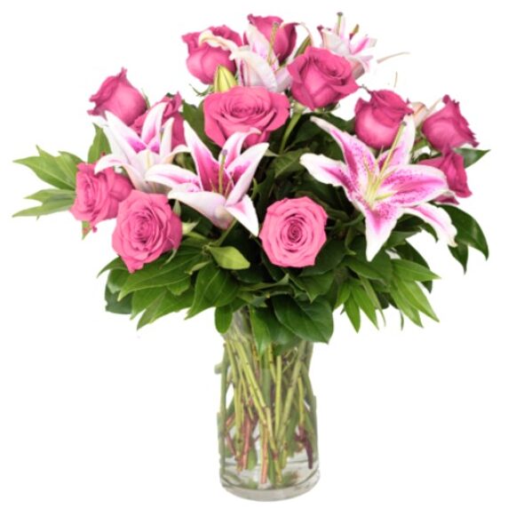 Premium Dozen Pink Roses