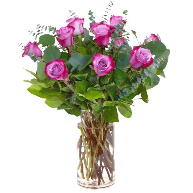 Standard Dozen Lavender Roses